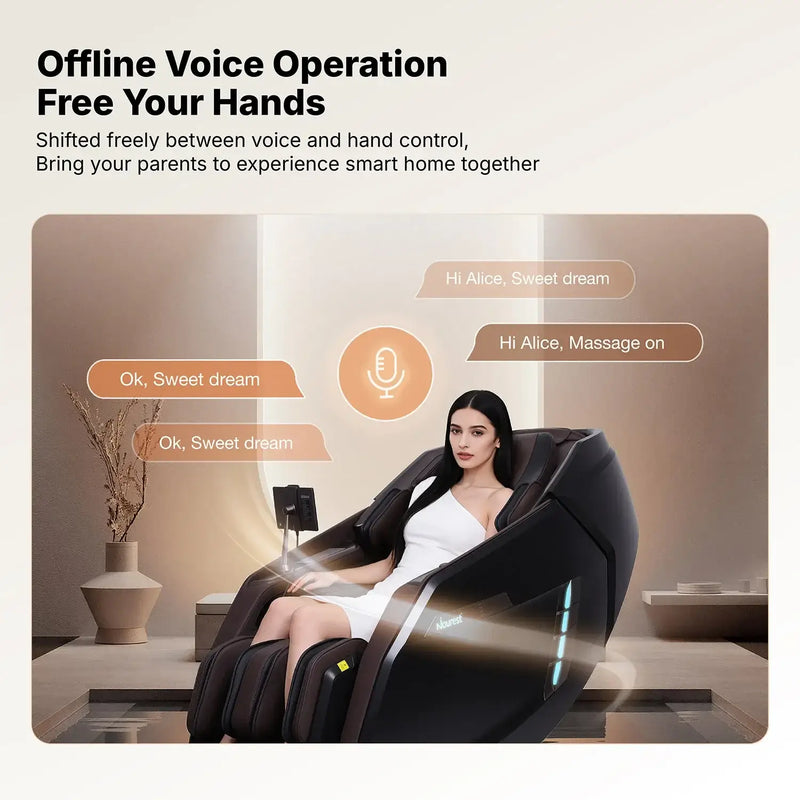Offline voice control